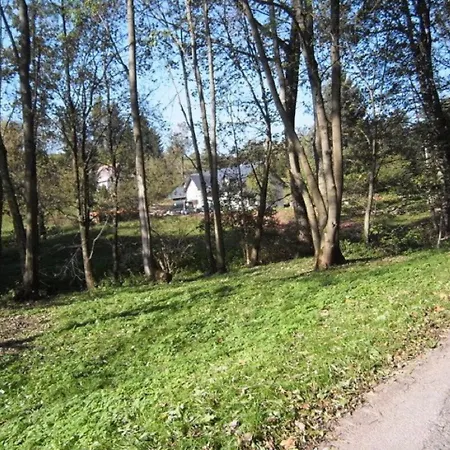 80 Javorník